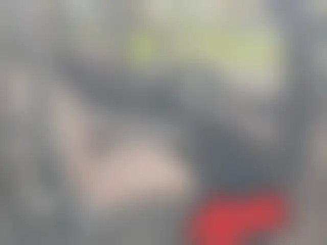 VIN на кузове