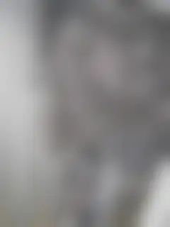 Дополнительные материалы