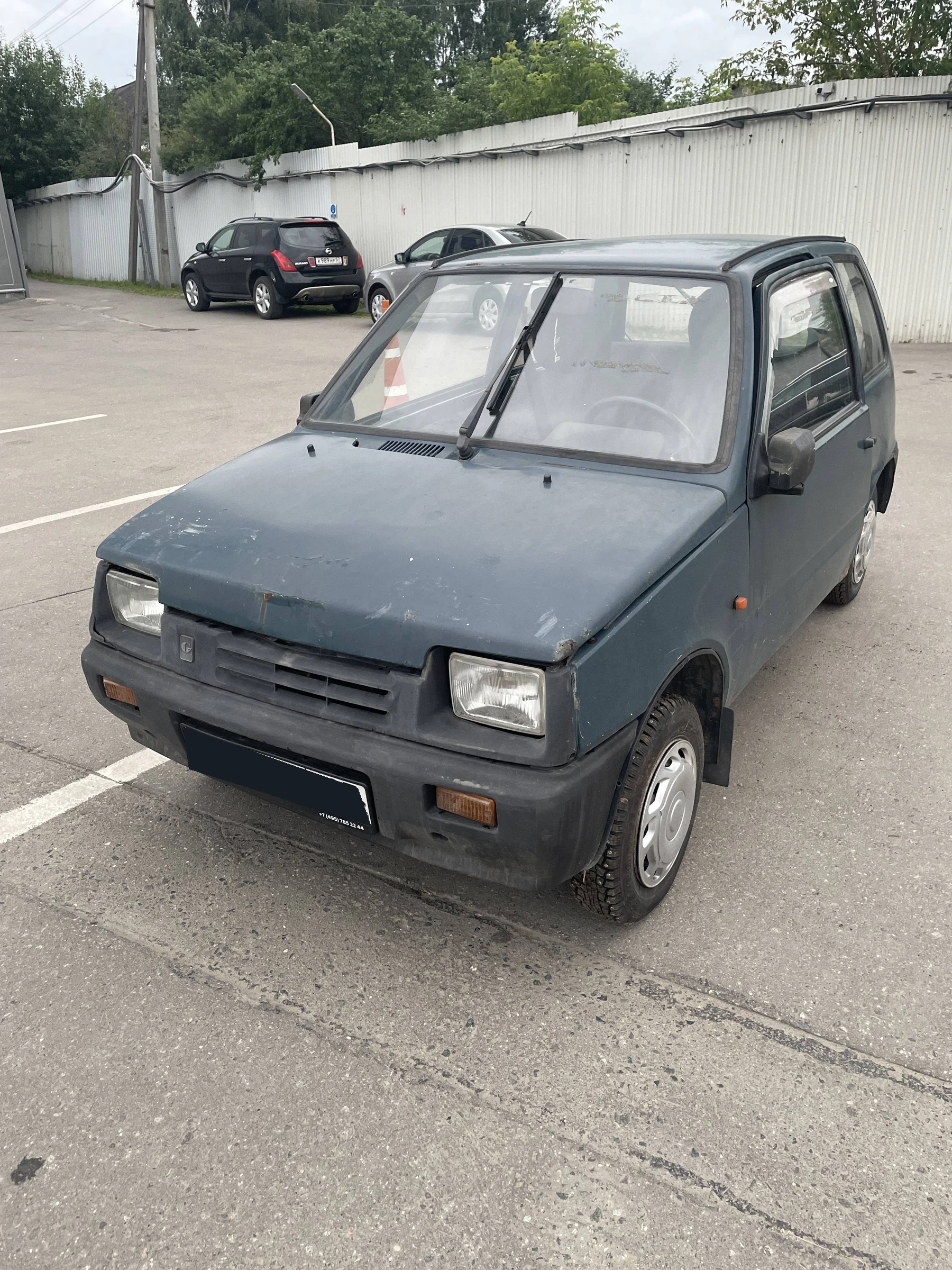 Внешний вид автомобиля — СЕАЗ 11113