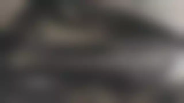 VIN на кузове
