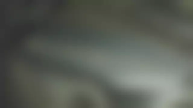 VIN на кузове