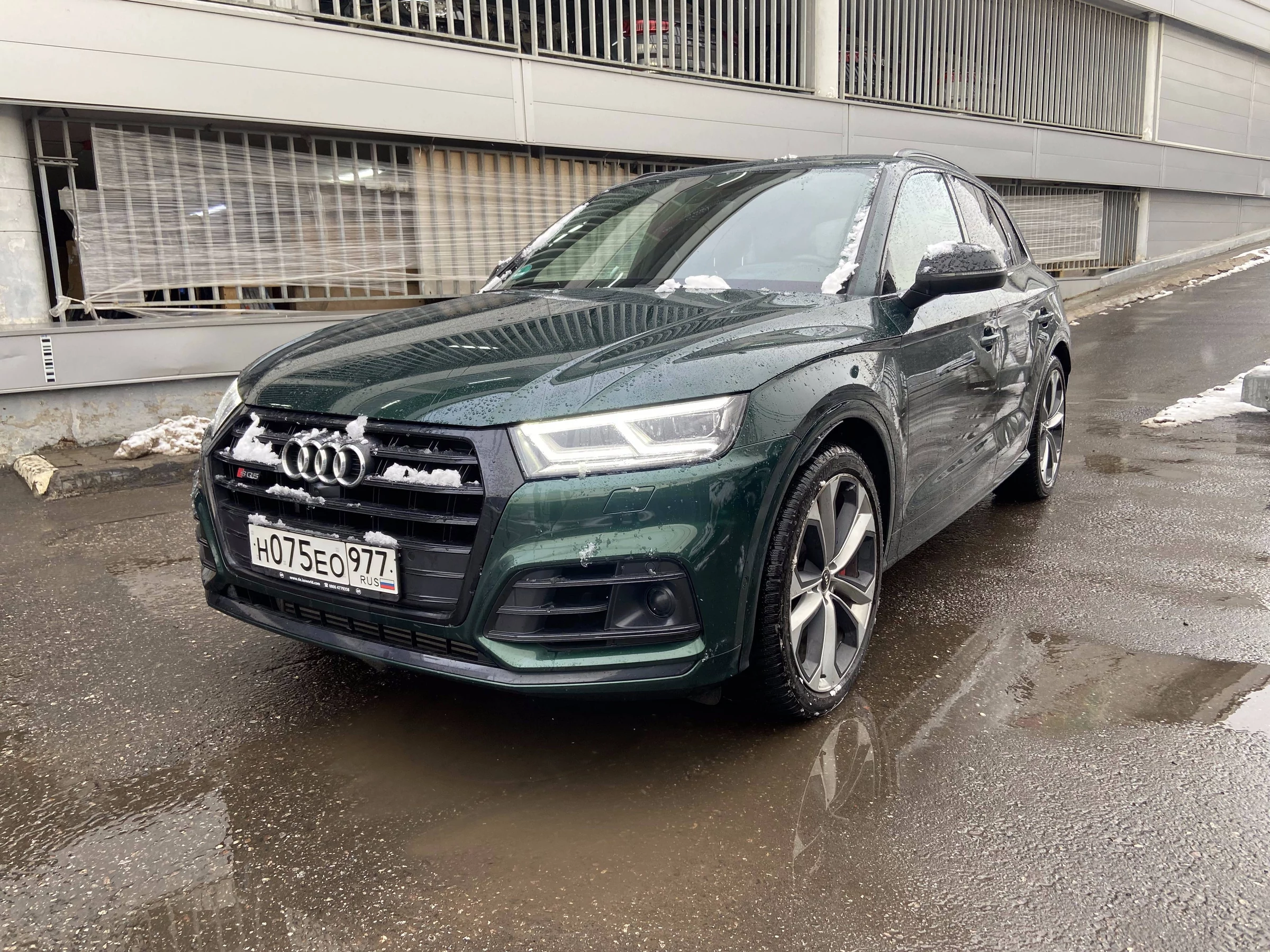 Внешний вид автомобиля — AUDI SQ5