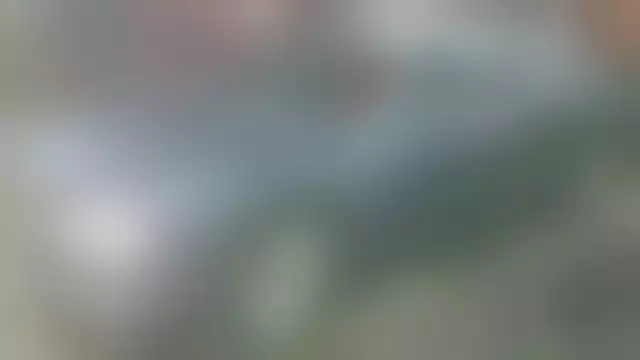 VIN под ветровым стеклом