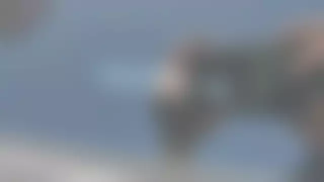 VIN под ветровым стеклом