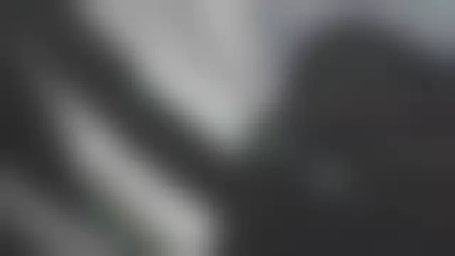 VIN под ветровым стеклом