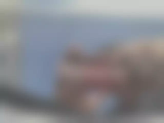 VIN под ветровым стеклом