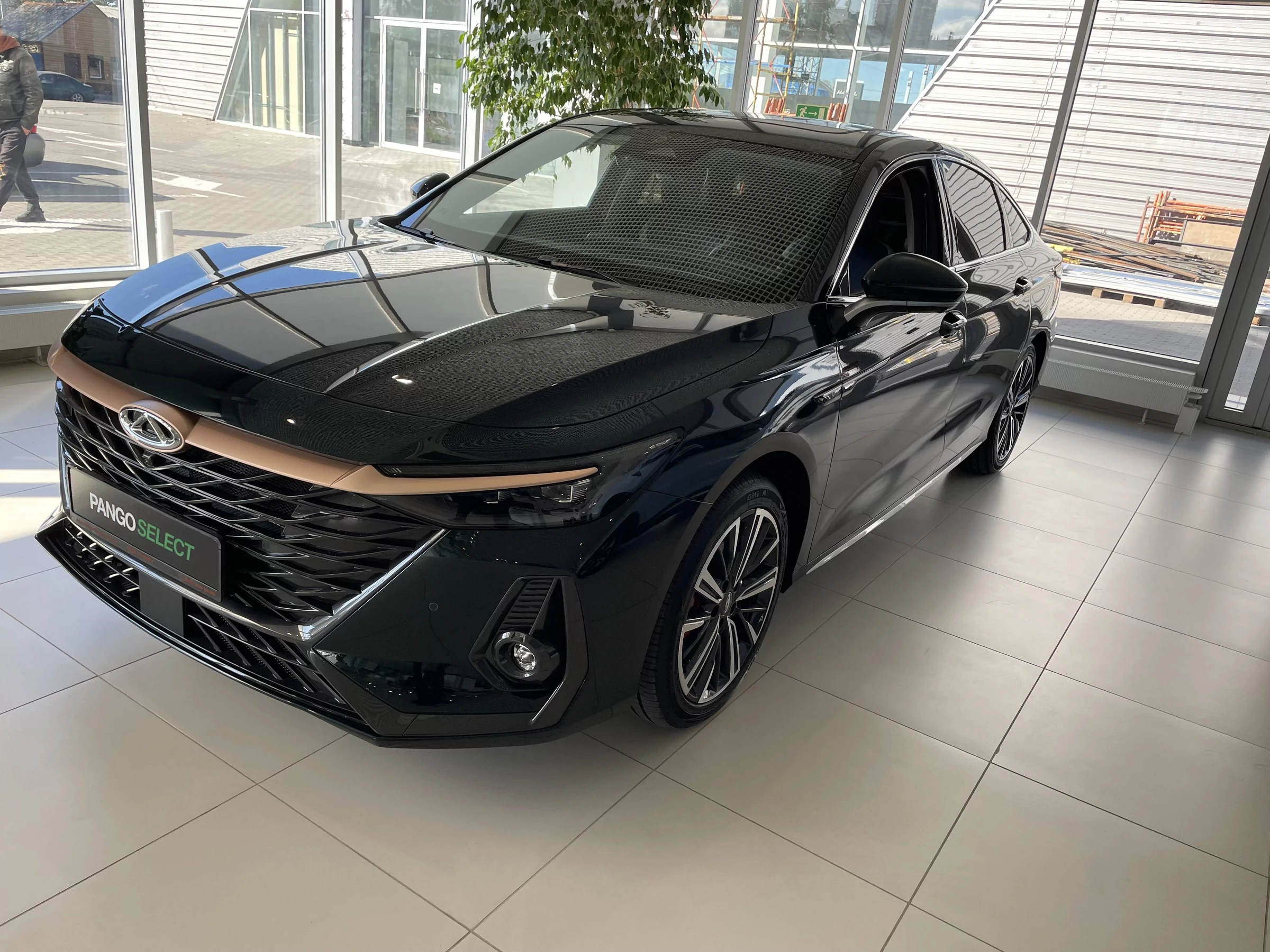 Внешний вид автомобиля — CHERY ARRIZO 8