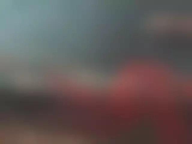 VIN под ветровым стеклом