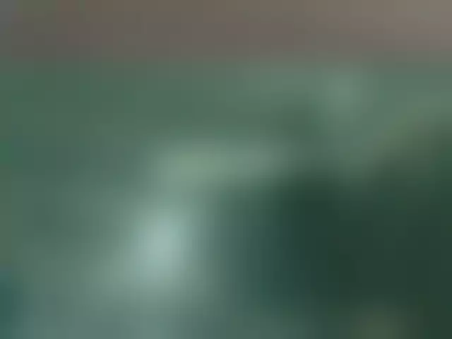 VIN под ветровым стеклом
