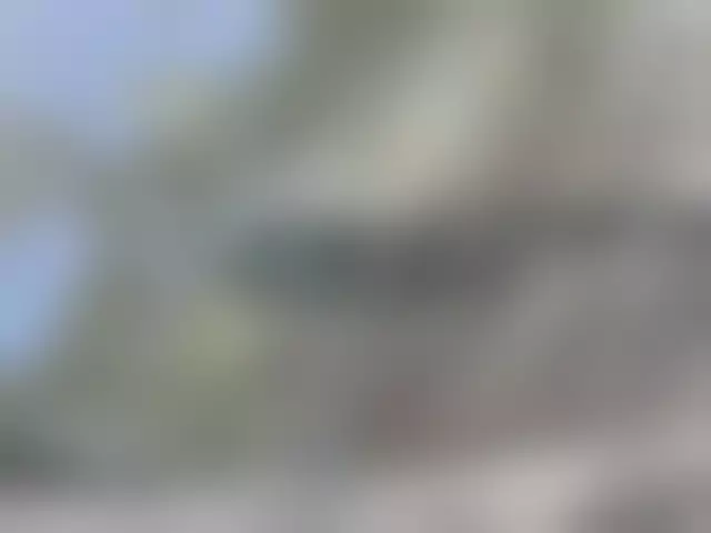 VIN под ветровым стеклом
