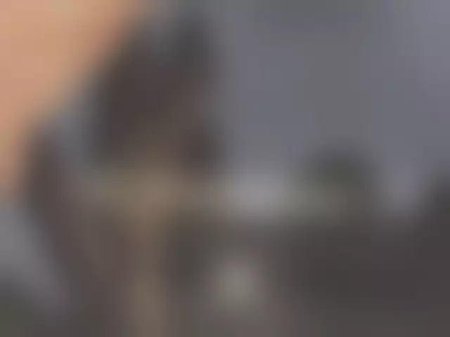 VIN под ветровым стеклом