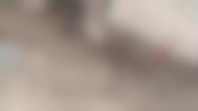 VIN на кузове