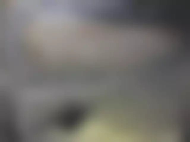 VIN на кузове
