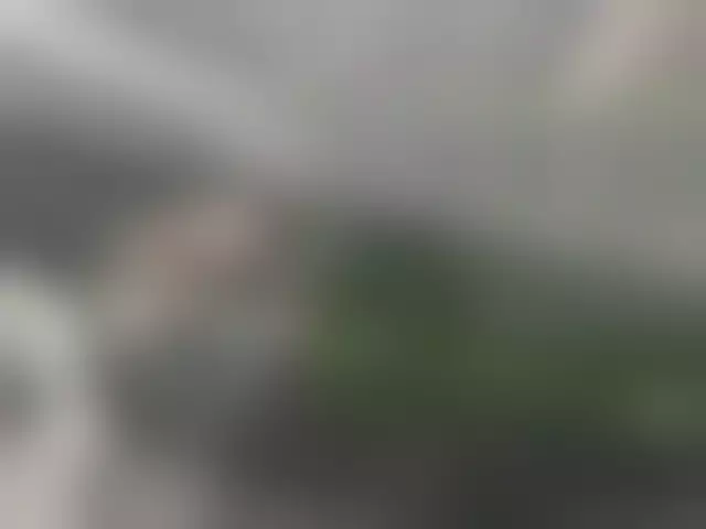 VIN под ветровым стеклом