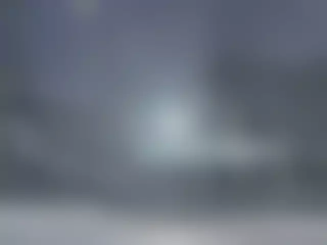 VIN под ветровым стеклом