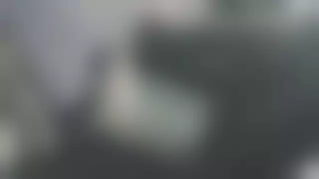 VIN под ветровым стеклом
