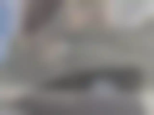 VIN под ветровым стеклом