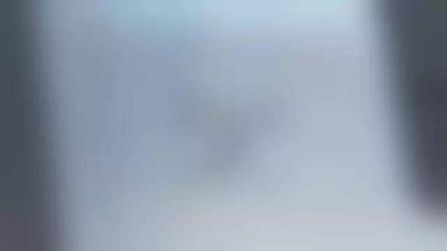 Заводская табличка производителя