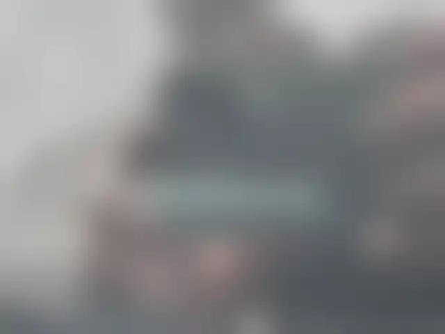 VIN под ветровым стеклом