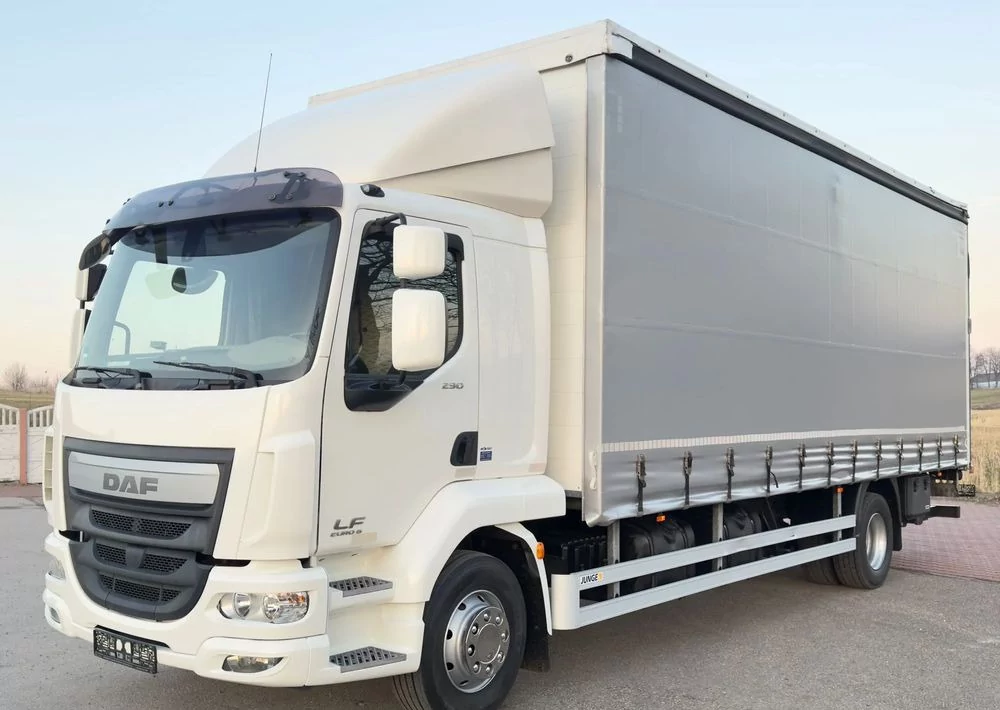 Внешний вид автомобиля — DAF LF