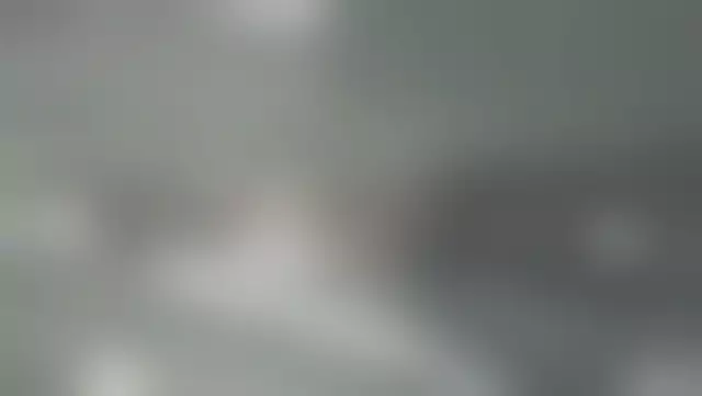 VIN под ветровым стеклом
