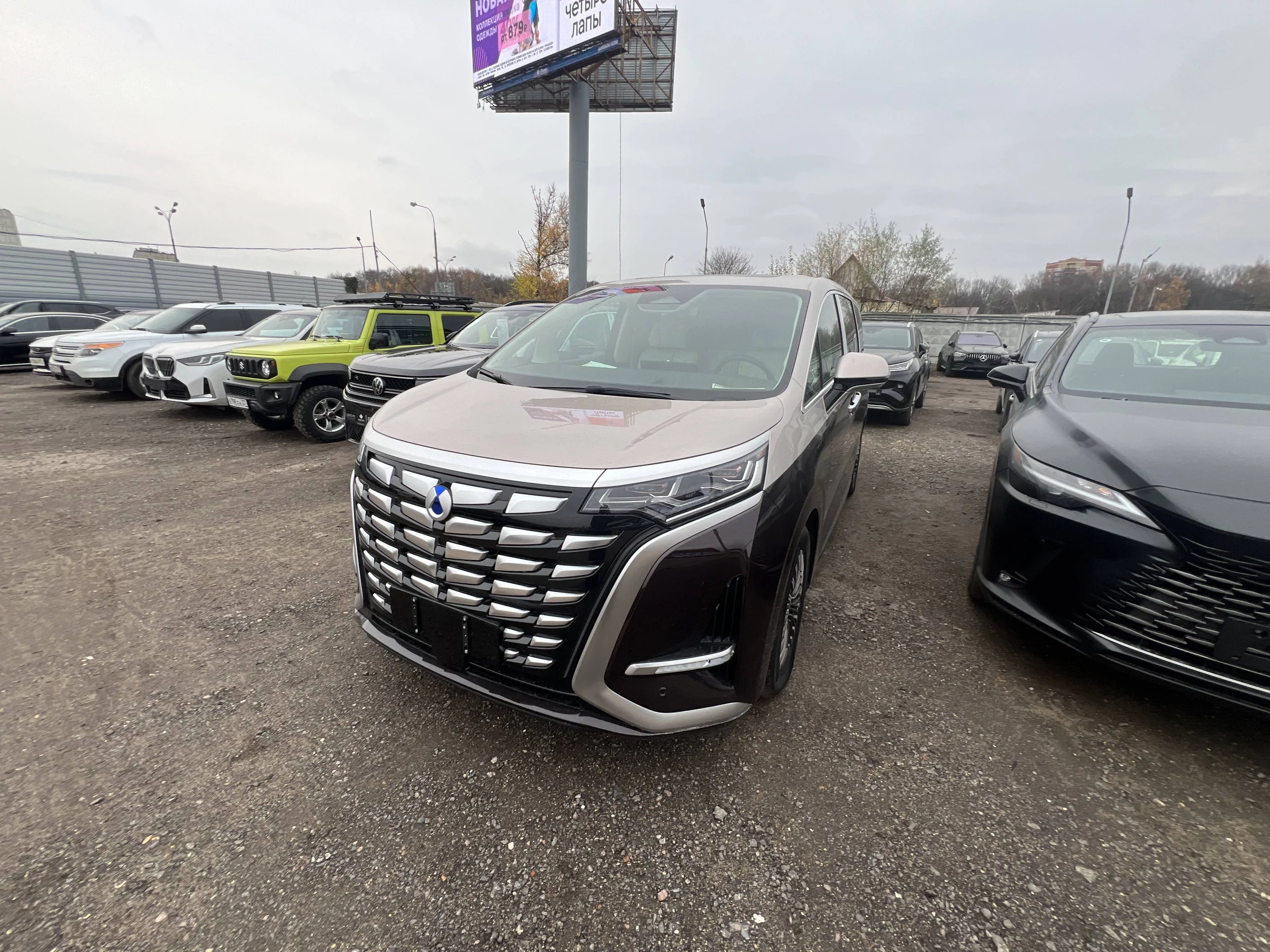 Внешний вид автомобиля — DENZA D9