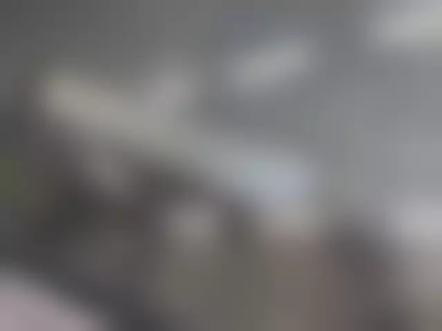 VIN под ветровым стеклом