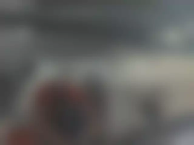 VIN под ветровым стеклом