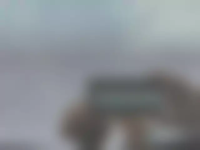 VIN под ветровым стеклом