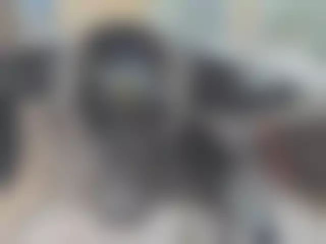 VIN на кузове