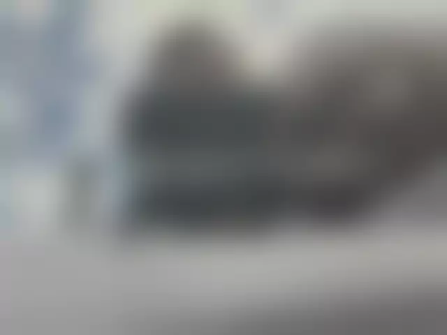 VIN под ветровым стеклом