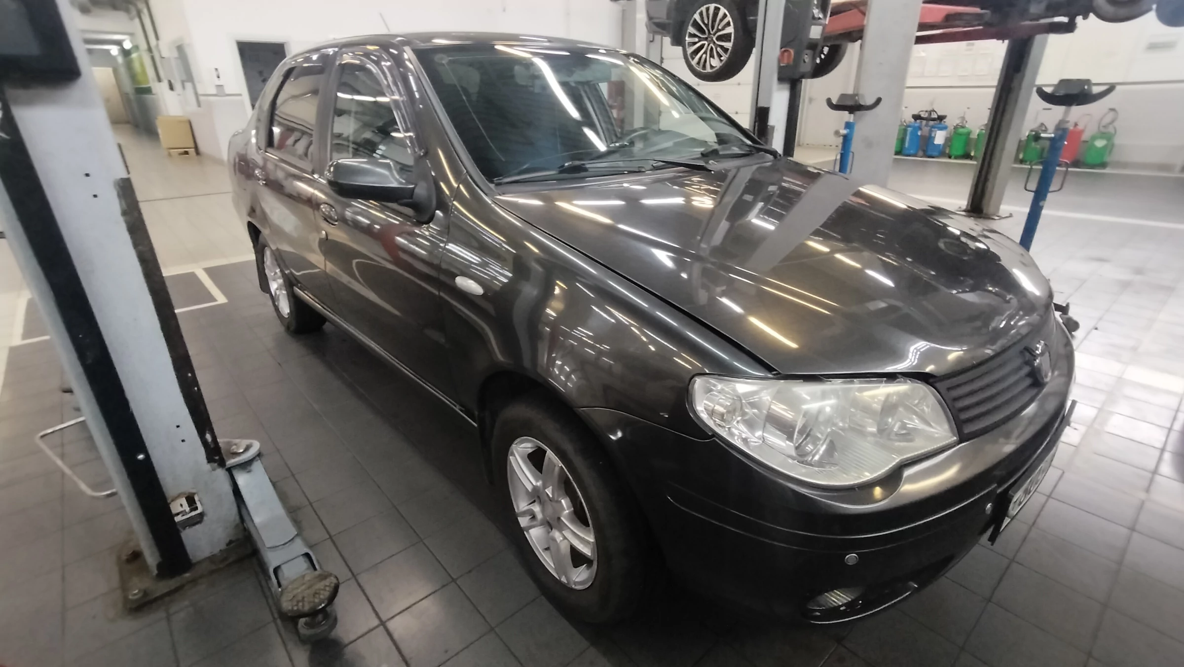 Внешний вид автомобиля — FIAT ALBEA