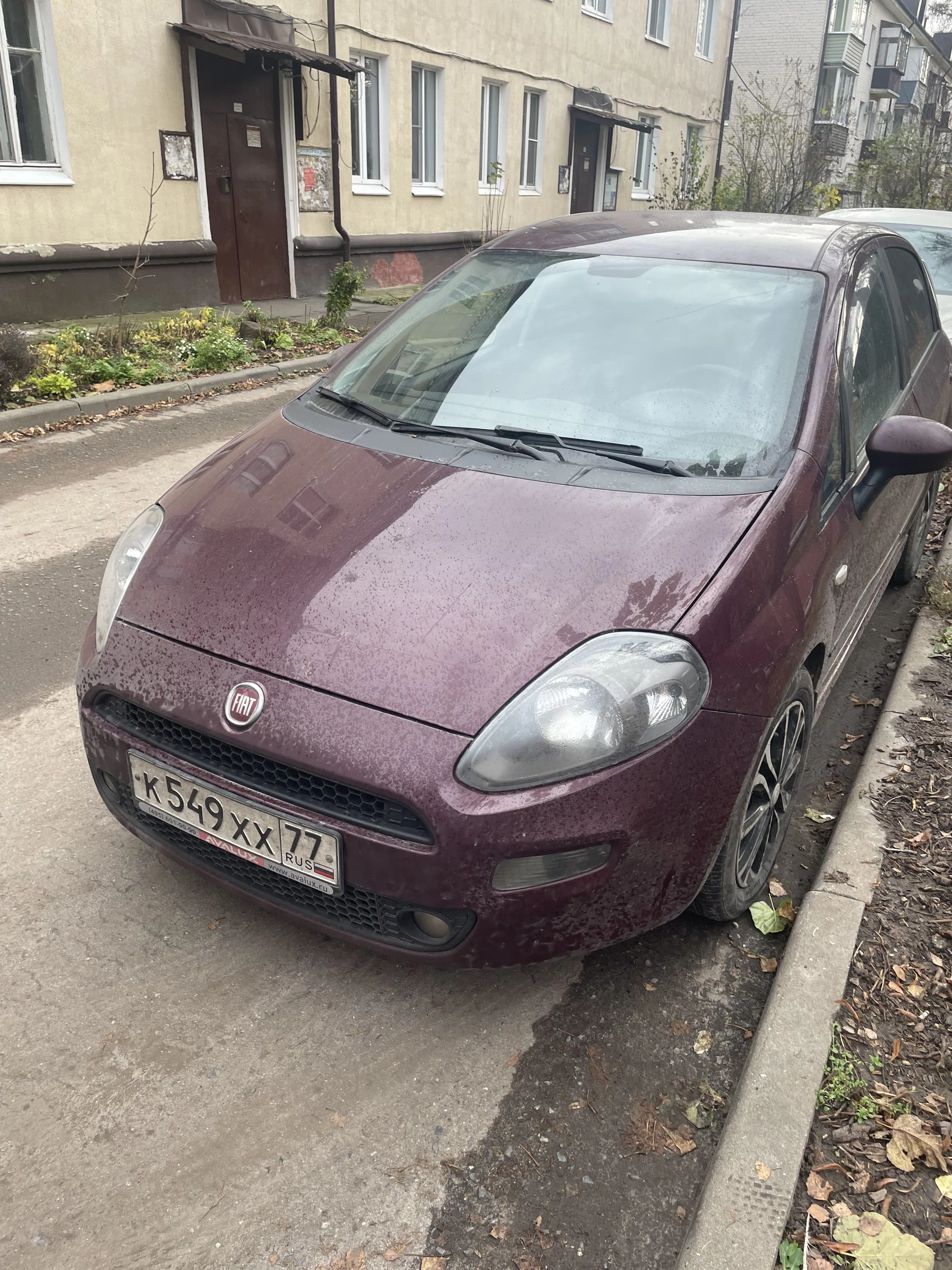 Внешний вид автомобиля — FIAT PUNTO