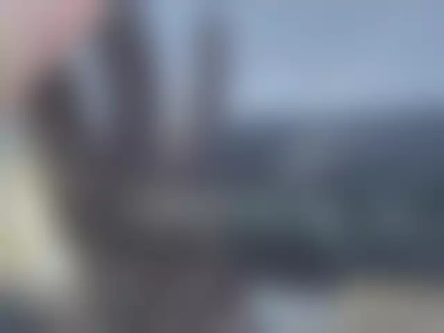 VIN под ветровым стеклом