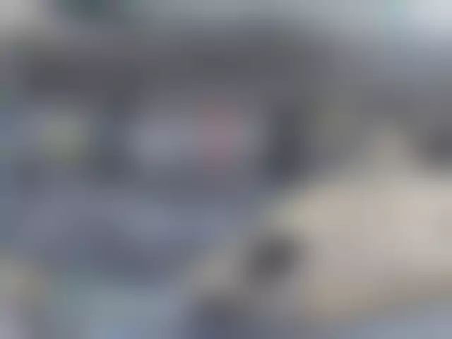 VIN на кузове