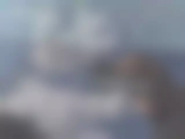 VIN под ветровым стеклом