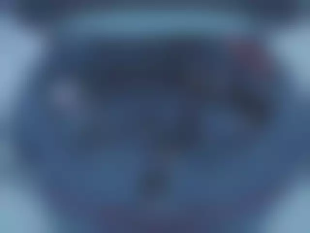 VIN под ветровым стеклом