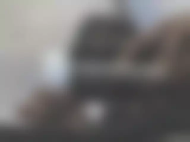 VIN под ветровым стеклом