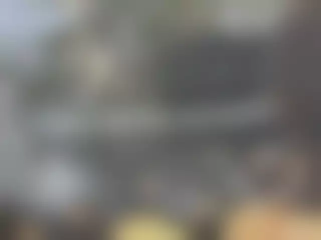 VIN под ветровым стеклом