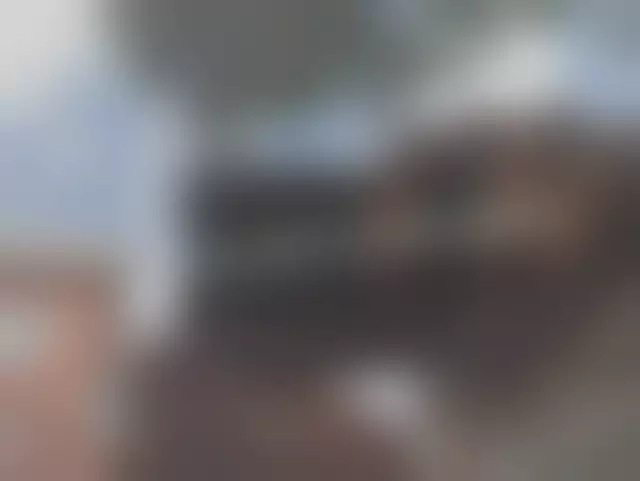 VIN под ветровым стеклом