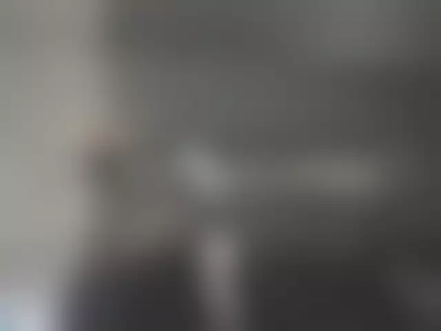 VIN под ветровым стеклом