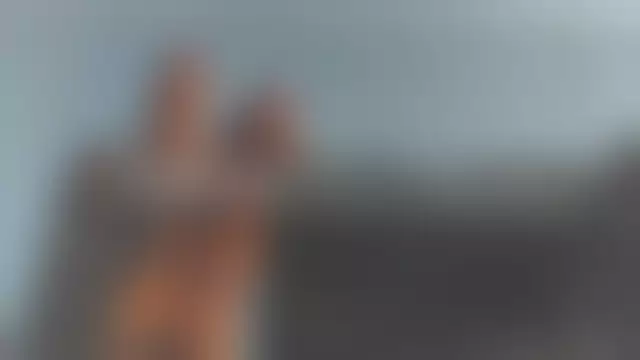 VIN под ветровым стеклом