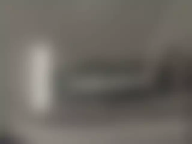 VIN под ветровым стеклом