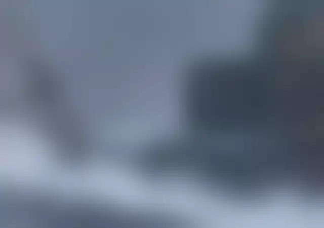 VIN под ветровым стеклом