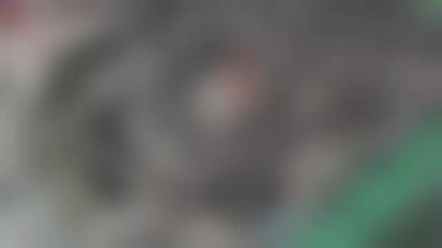 VIN на кузове