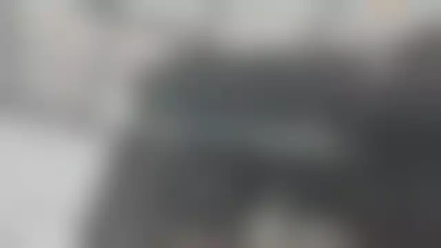 VIN под ветровым стеклом