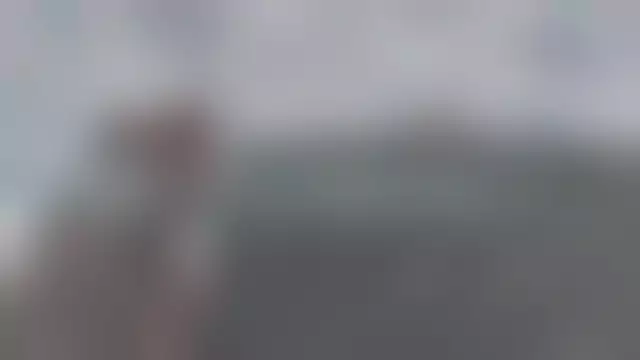 VIN под ветровым стеклом