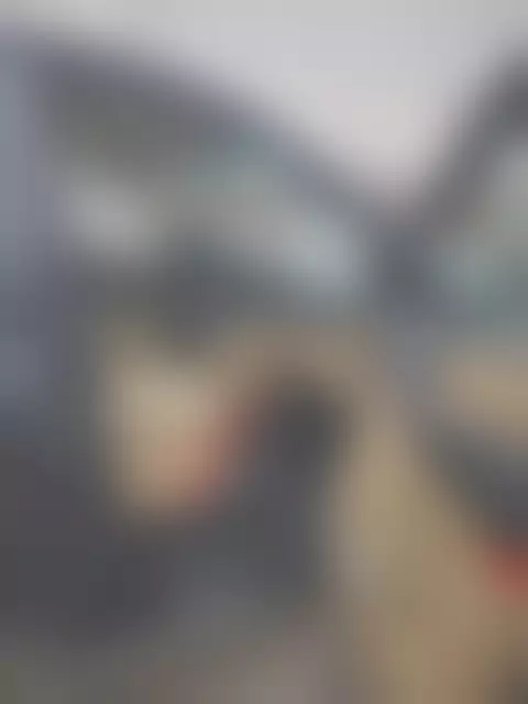 VIN на кузове