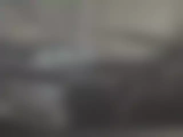 VIN под ветровым стеклом