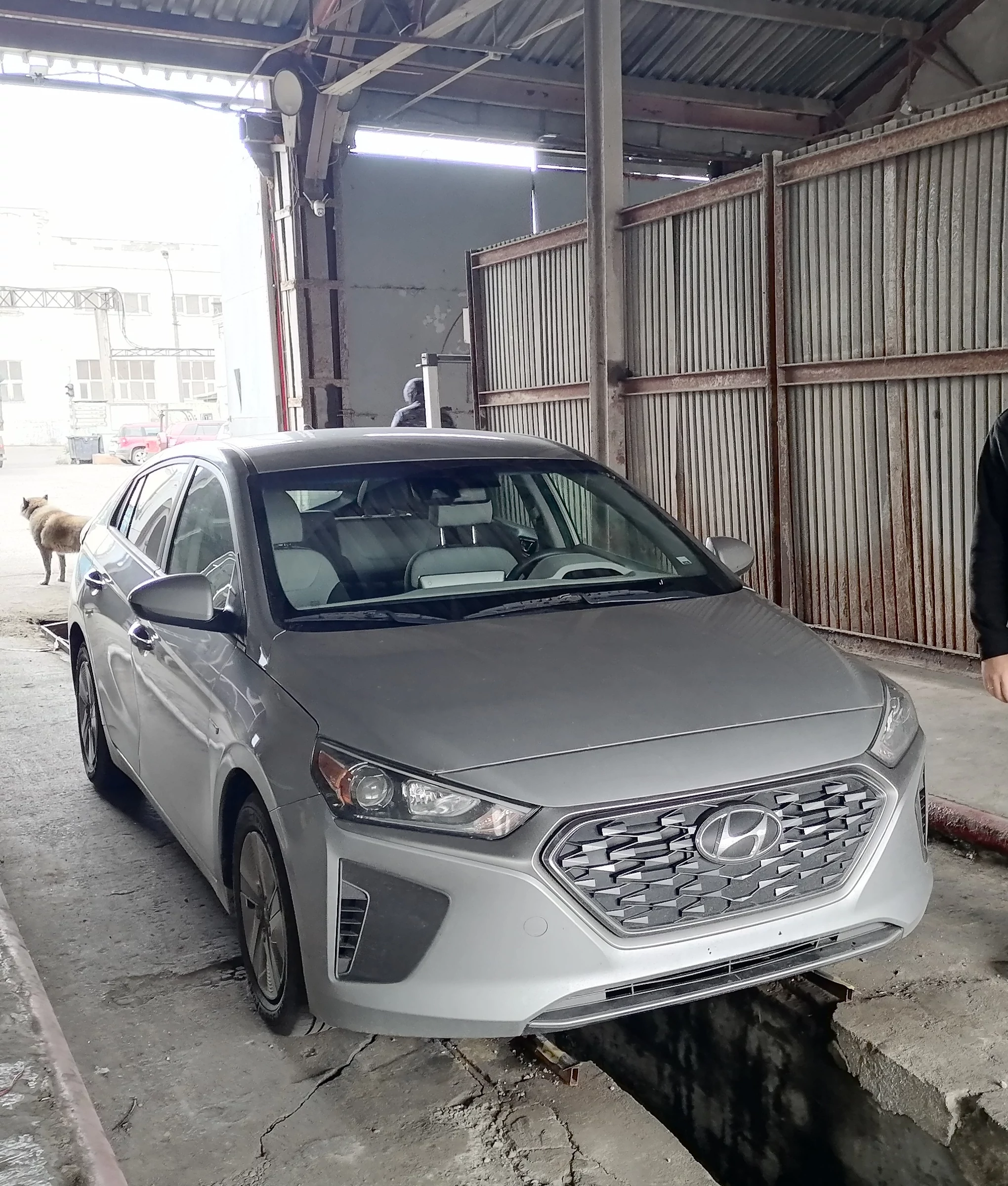 Внешний вид автомобиля — HYUNDAI IONIQ
